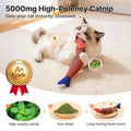 Jouets de chat Sauer Poisson
