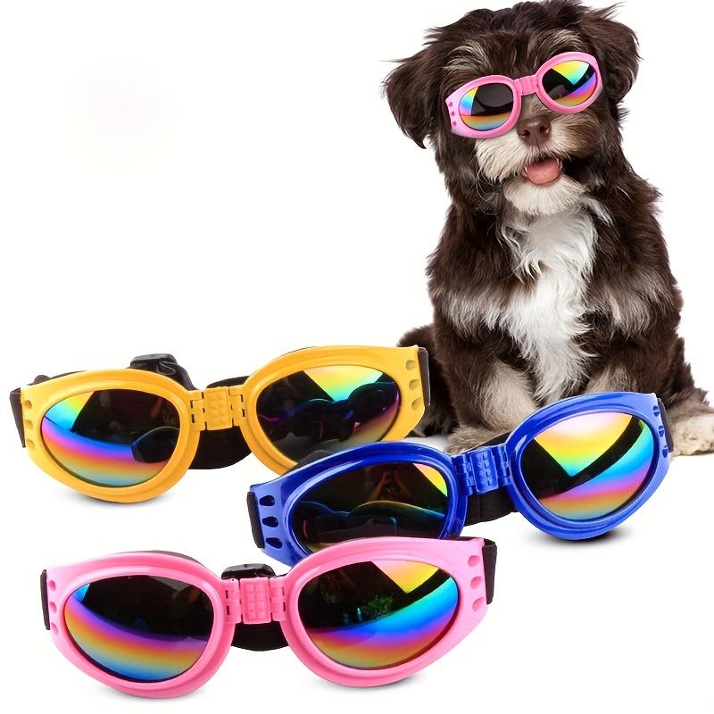 1 pièce, Lunettes de soleil pour chiens, lunettes, lunettes de soleil pour chiens, retriever doré coupe-vent, soleil spécial