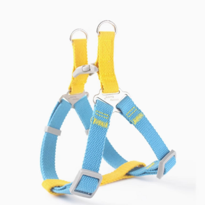 Contraste couleur Vest-style Pet's Chest-back Traction chien laisse