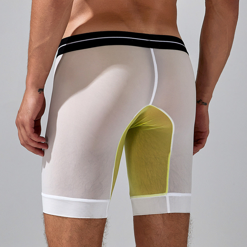 Sous-vêtements de printemps pour hommes Coloris assortis à long boxer pour hommes