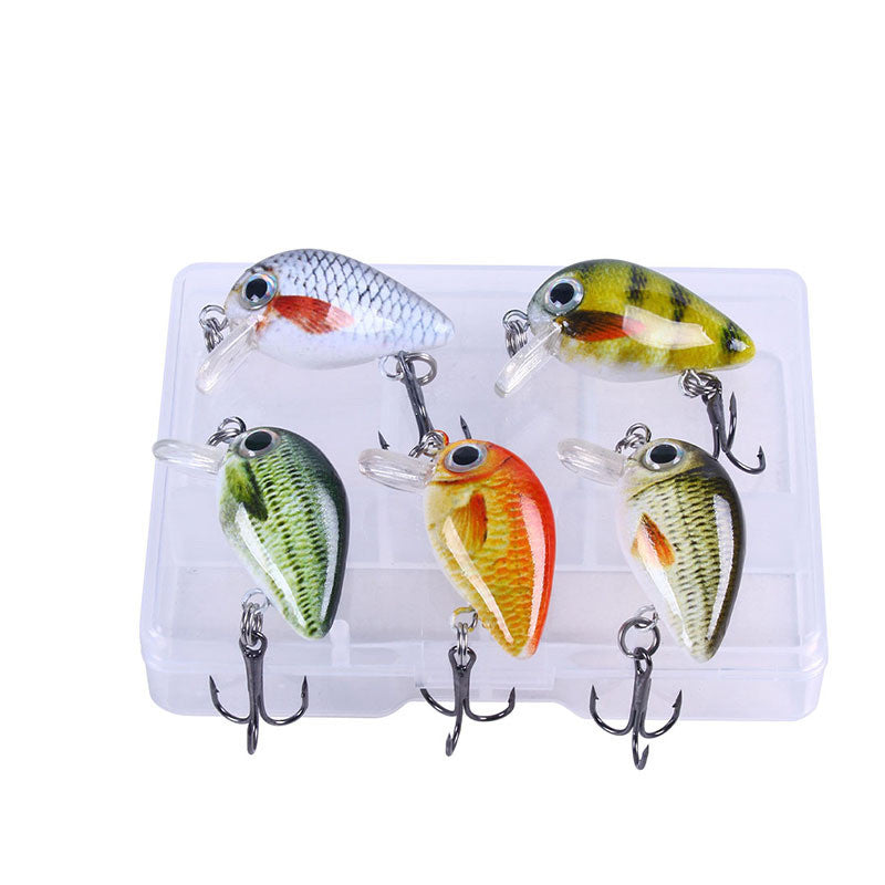 Style Mini Rock Lure de pêche 1,5g Petit ensemble de lure 5 couleurs Lure d'impression en boîte