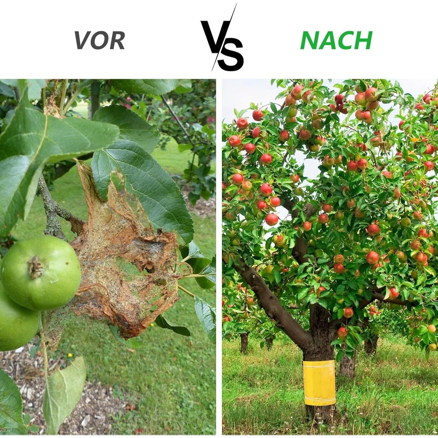25 Cm X 10 M Manches de protection pour arbres fruitiers