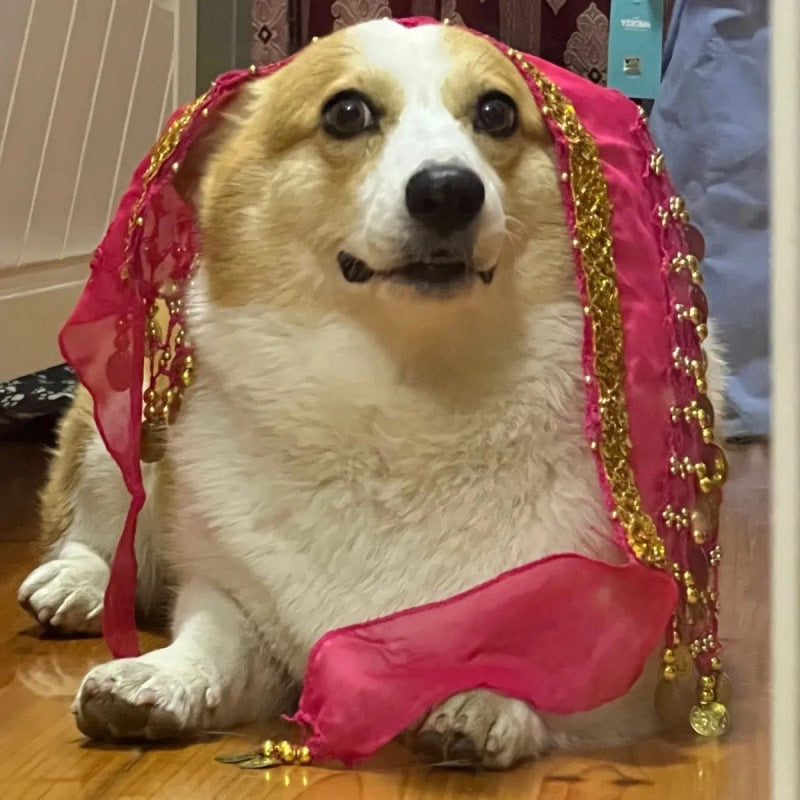 Danse Belly Fart Chaîne à paillettes Chaîne de taille Enthousiastique chien Fart Hip Scarf
