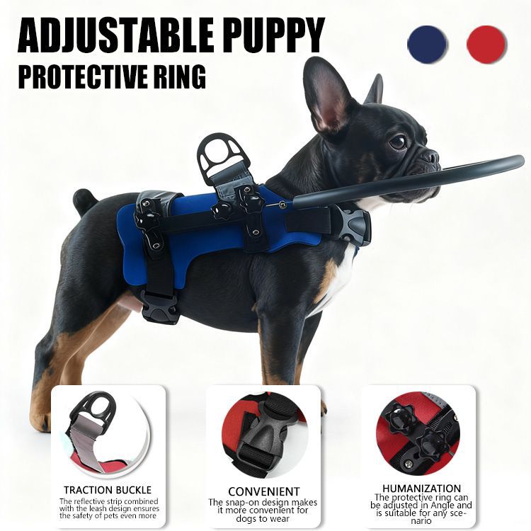 Collier Amazon Best-seller anti-collision avec laisse pour animaux aveugles