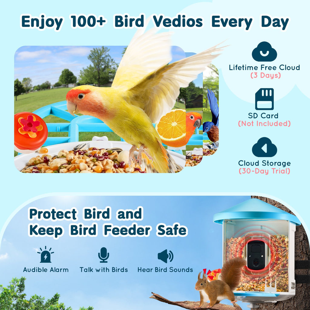 Feeder intelligent avec caméra AI identifier 10000+ Oiseaux Specie Solar-Powered