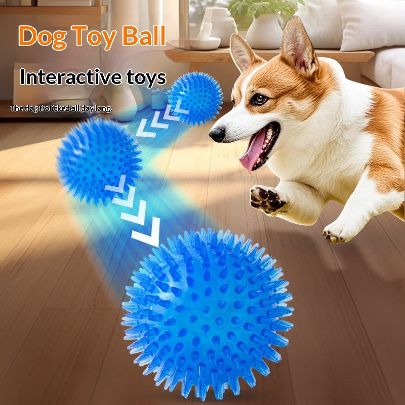 Pet Dog Toy Ball