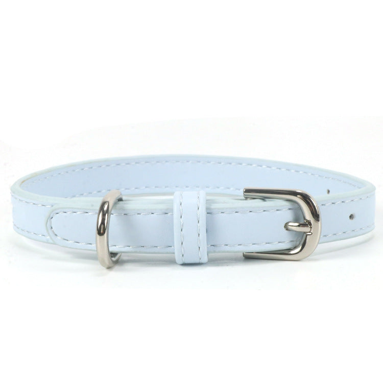Collier pour chien en cuir pour chiens de taille petite à moyenne avec une corde de traction