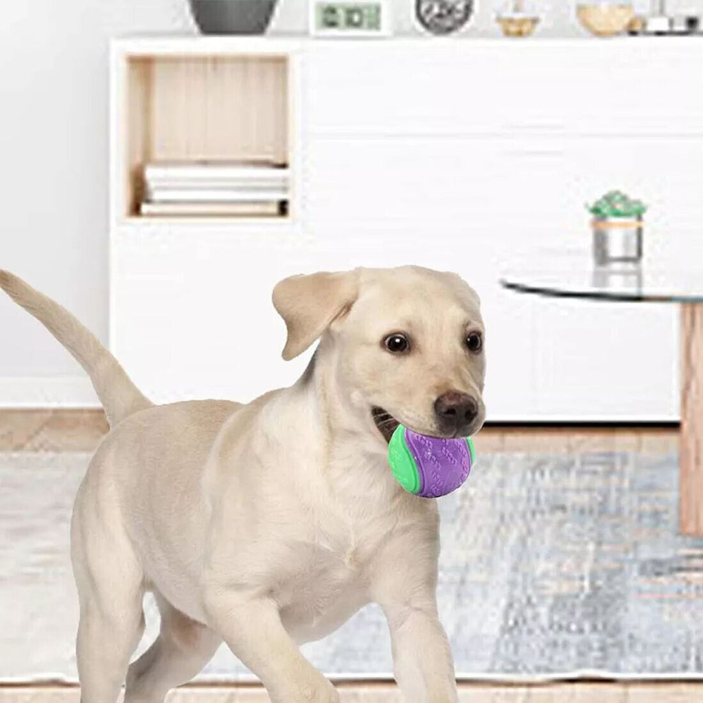 Scooby-Doo Squeaky durable Set de 8 boules de chien pour le nettoyage des dents Interactive UK