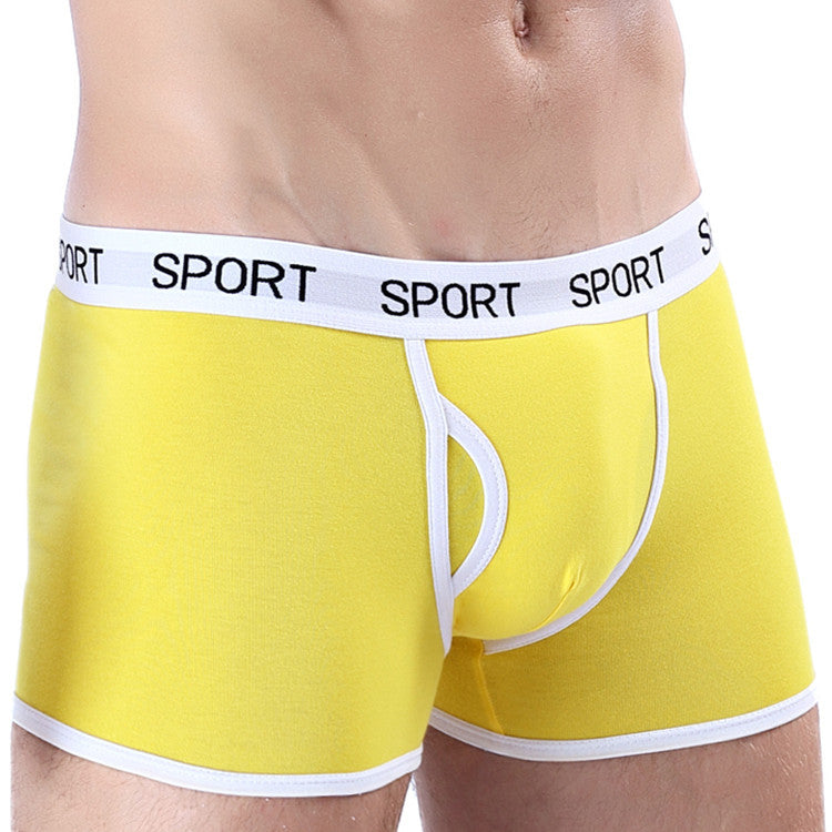 Slip de boxeur de sport en coton pour hommes