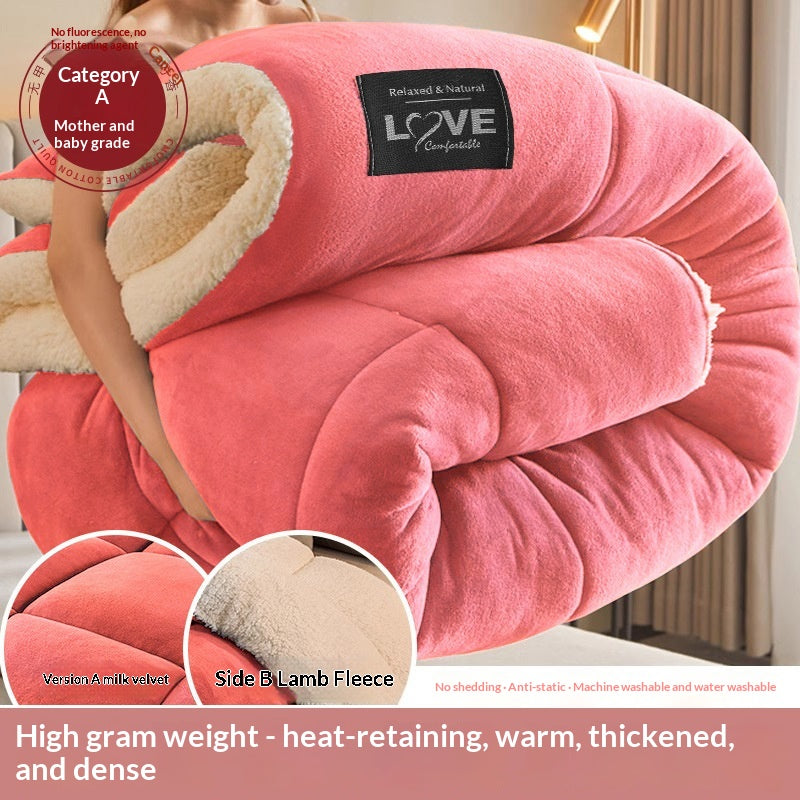 Coral Fleece Hiver Comforter