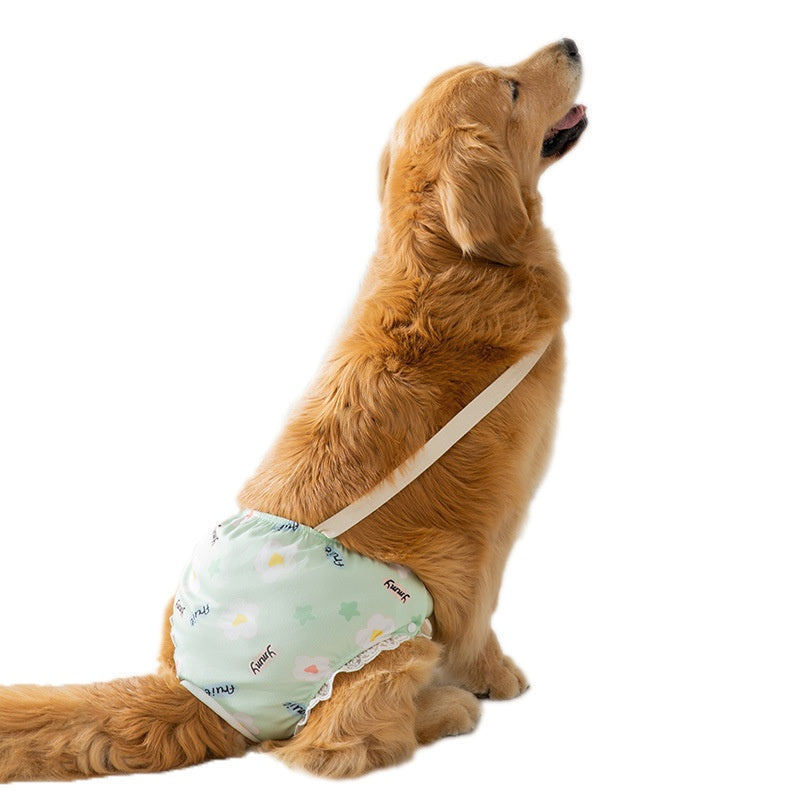 Pantalons menstruels Big Dog Période menstruelle Pantalons de couches