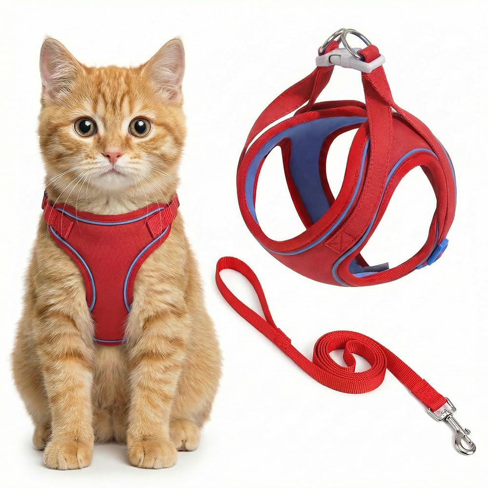 Cat harness and leash