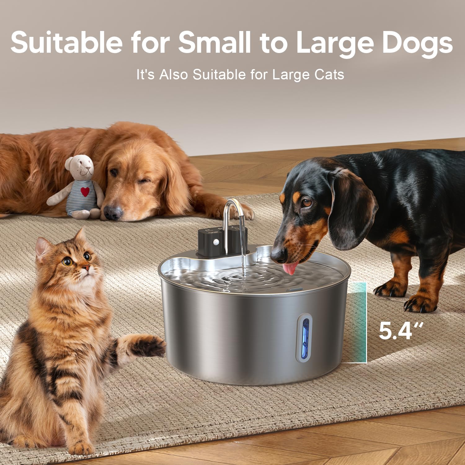 7L Distributeur d'eau pour chiens