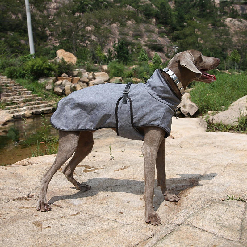 Pet Shell Veste Dog Hiver En plein air Costume de ski
