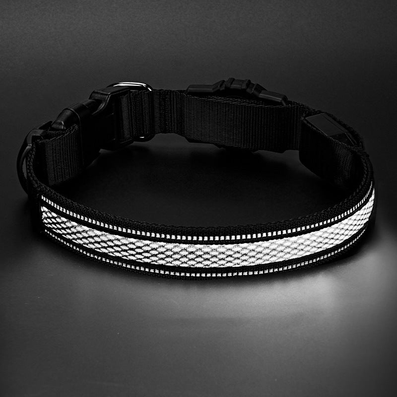 Collier de chien de Glowing imperméable rechargeable