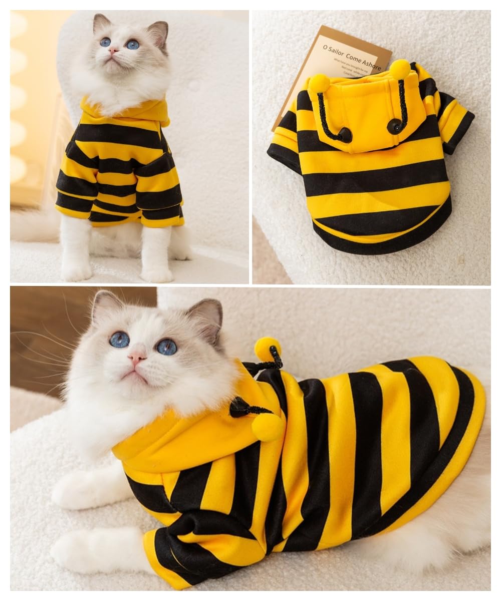 Costume d'abeille de chat mignon - Vêtements d'Halloween pour animaux Bumble Bee Cosplay Vêtements Antenne