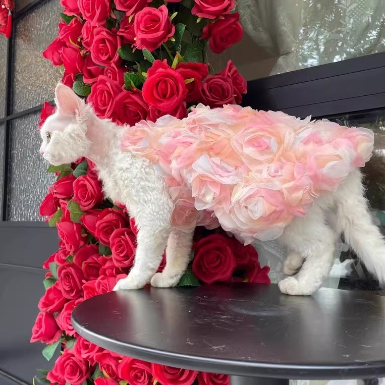 Vêtements de chat sans cheveux Double-Layer Mesh 3D Rose robe princesse