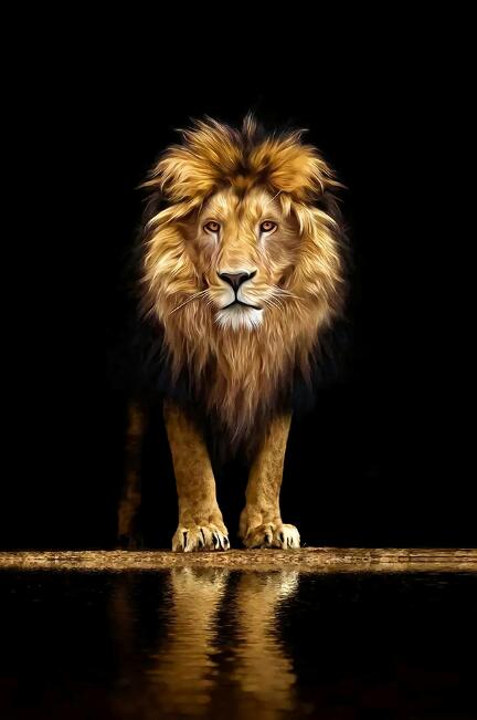 Affiches d'animaux de toile et impression de décoration murale