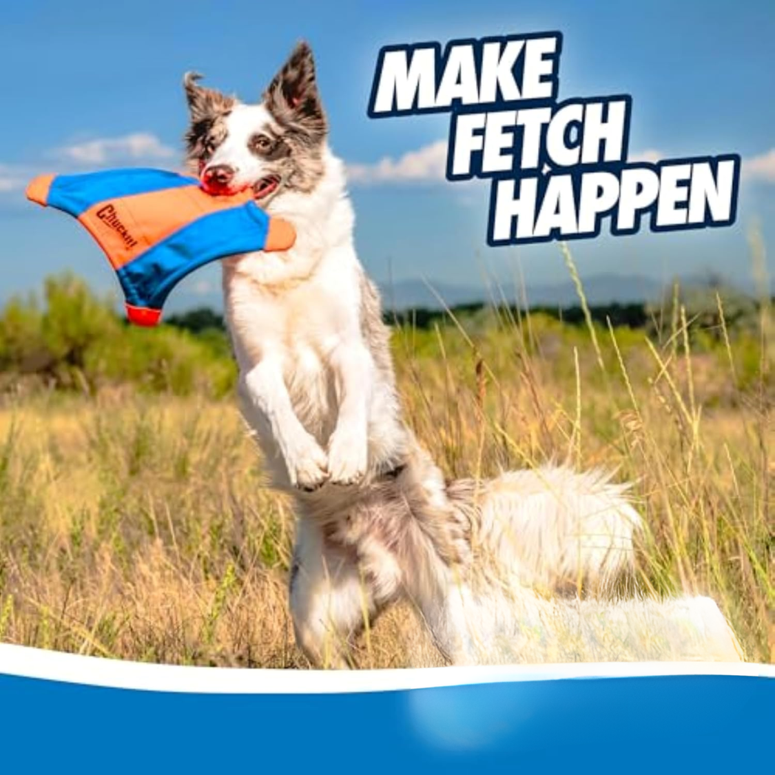 Jouet flottant pour chien : écureuil volant à lancer, terre et eau