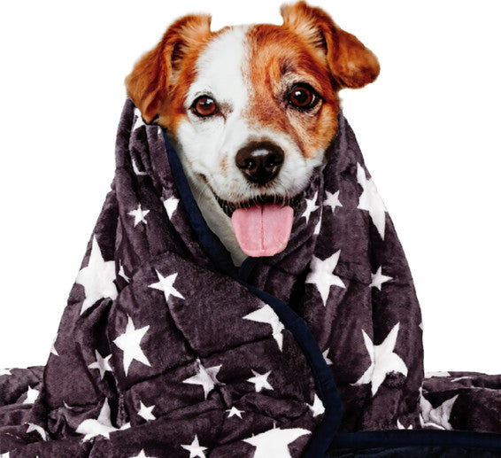 Couverture Thunder lavable chien animal de compagnie