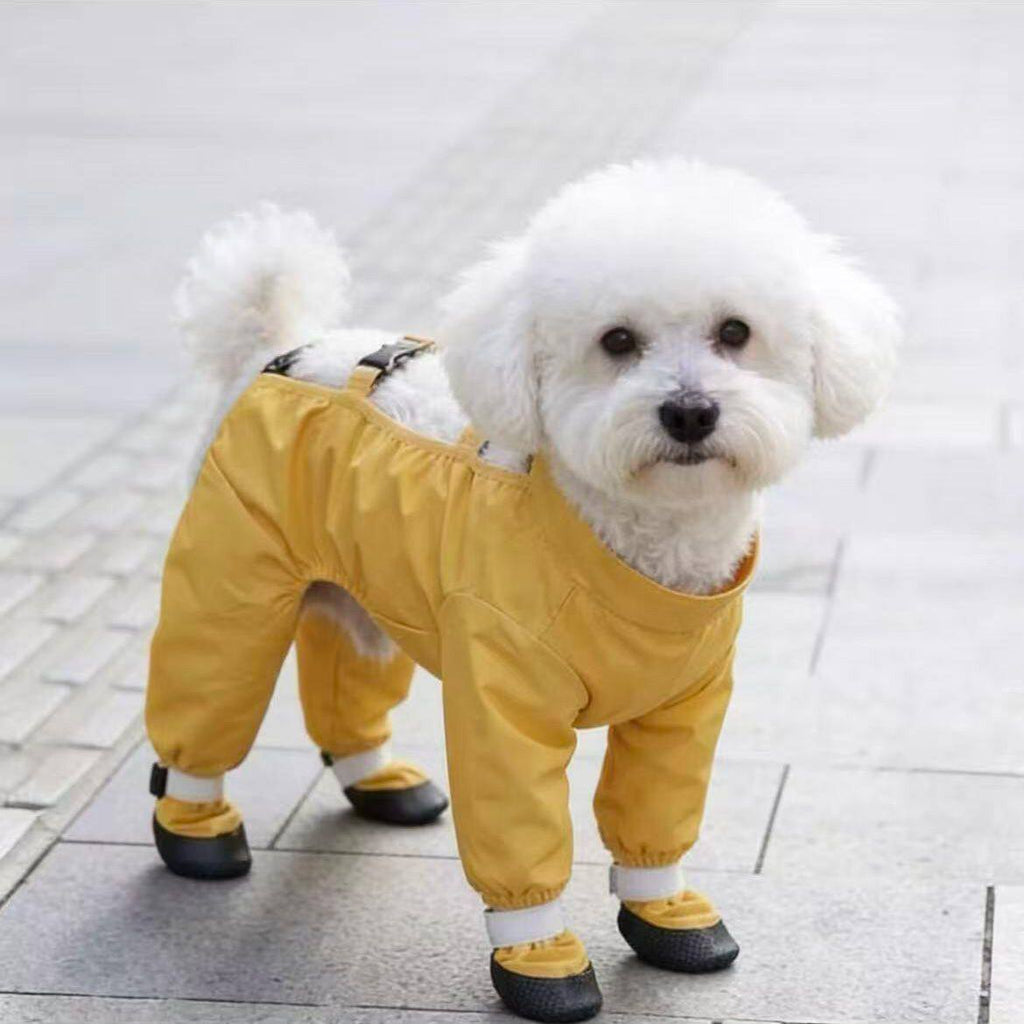 Pantalons anti-poussière pour chiens Et résistant à l'urine