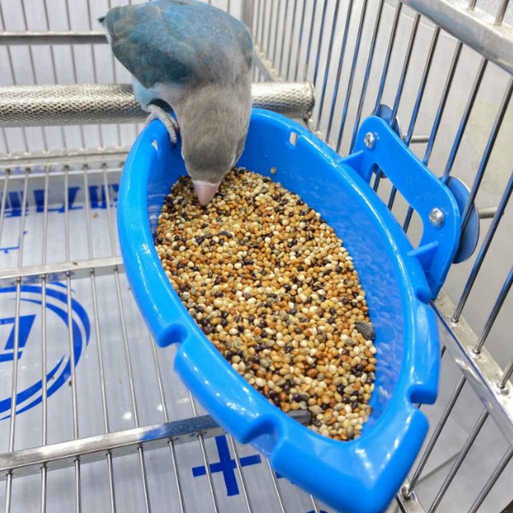 Baignoire multifonctionnelle pour oiseaux