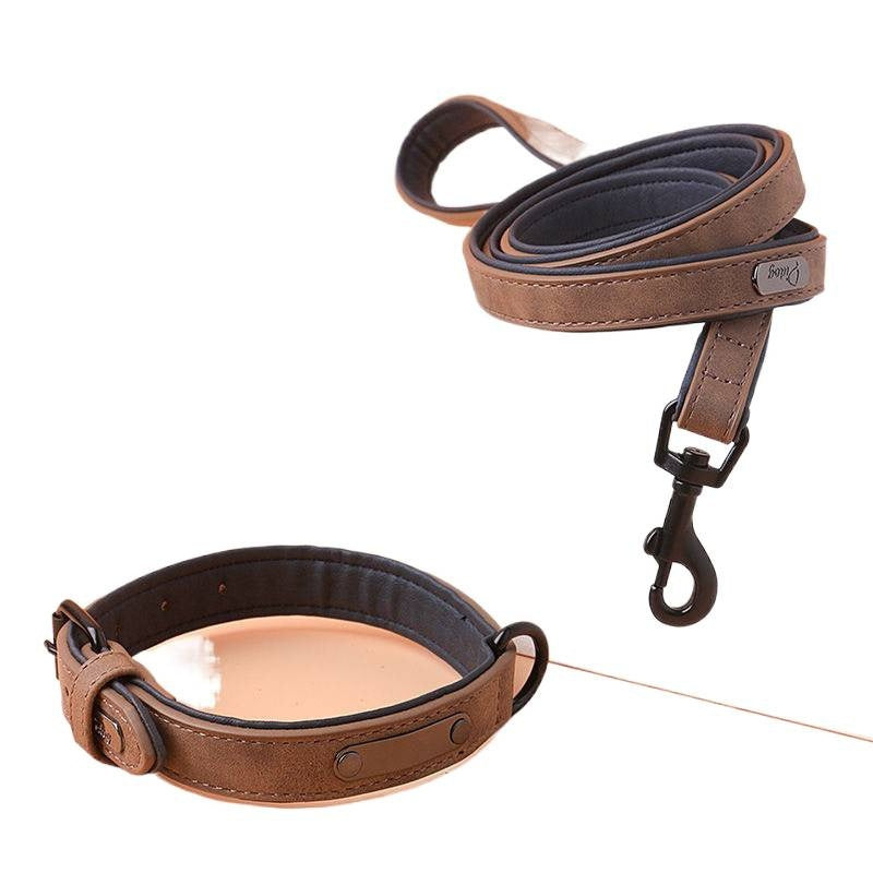 Collier de chien de compagnie ajustable anti-perte gravé
