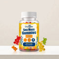 Gommies aromatisées d'algues marines-nutrientes