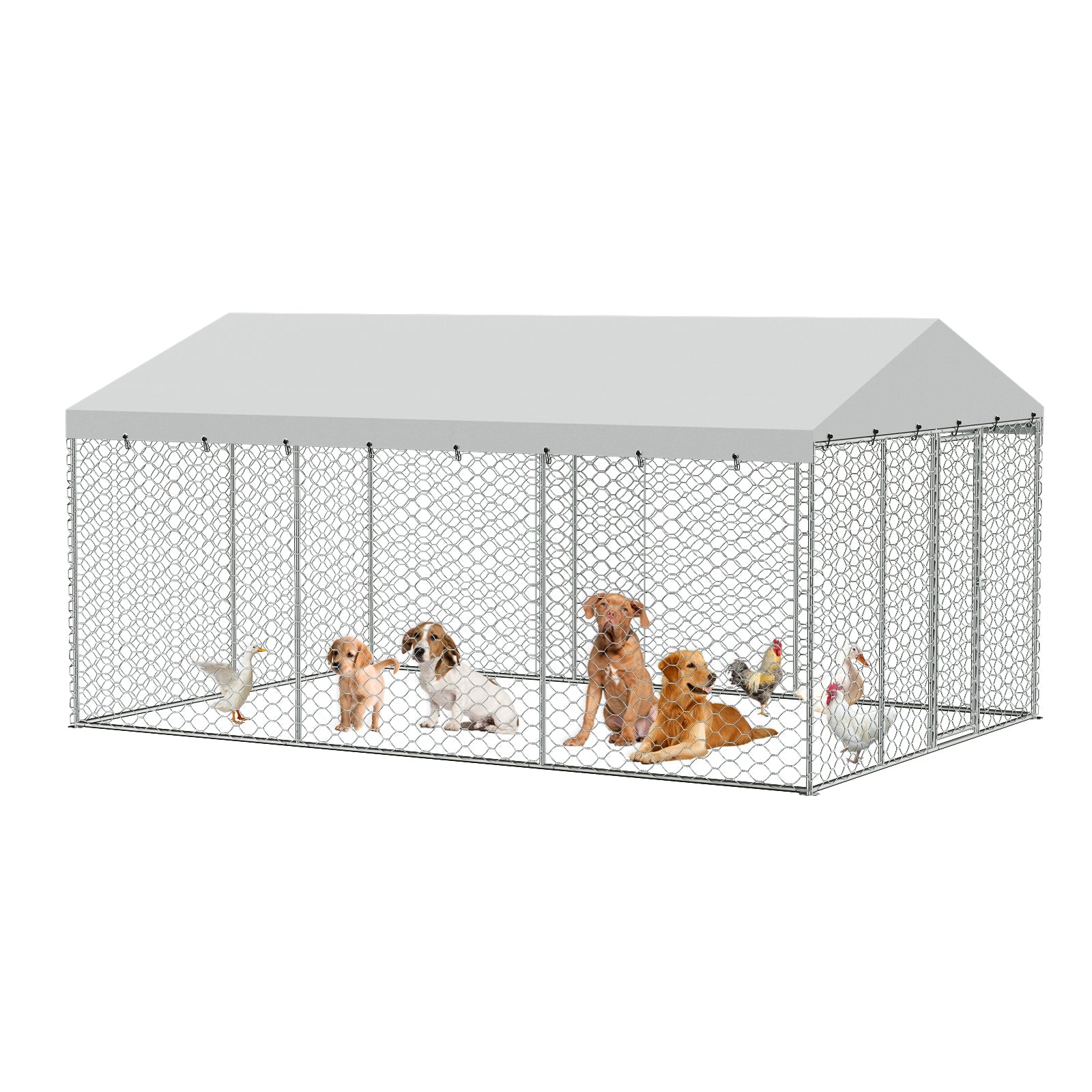 15x10 FT Grand Kennel de chien extérieur avec Canopy