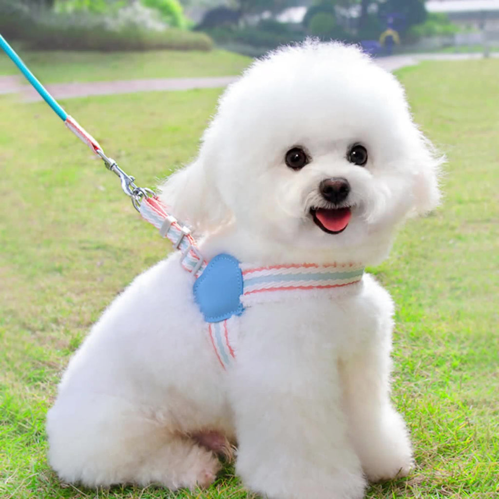 Leash de chien Été Respirant Corgi Shiba Inu Bichon Chest Vest Marcher Leash de chien Petit Et