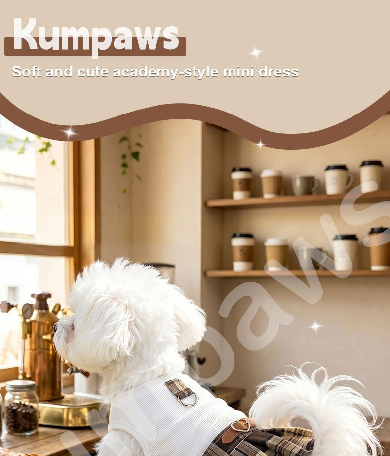 Robe plissée de chien de compagnie préppy.