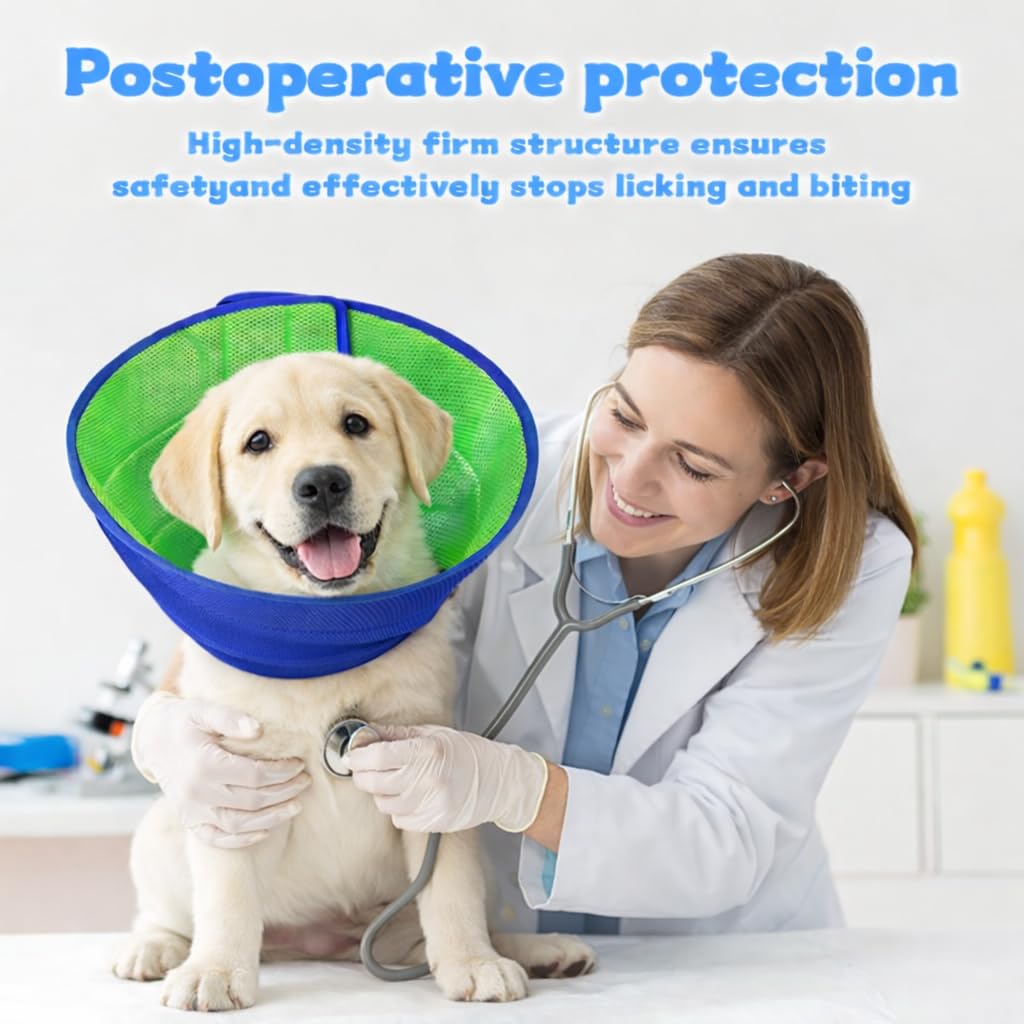 Collier de cône de chien doux pour arrêter le collage après chirurgie