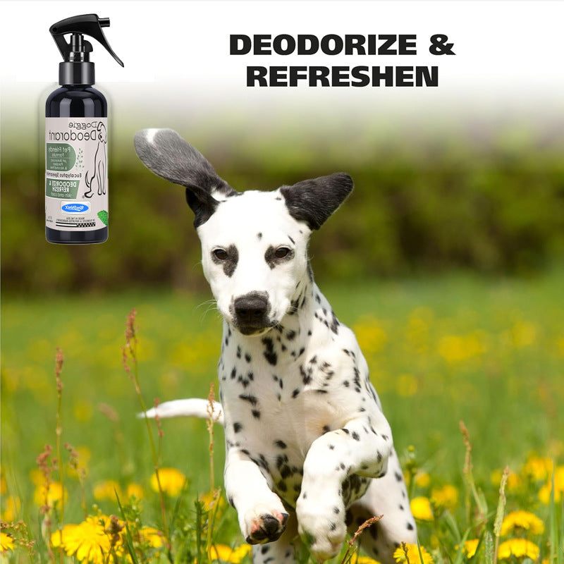 Spray puissant neutralisant l'odorat pour les animaux de compagnie spécialement conçu pour briser l'urine étourdie