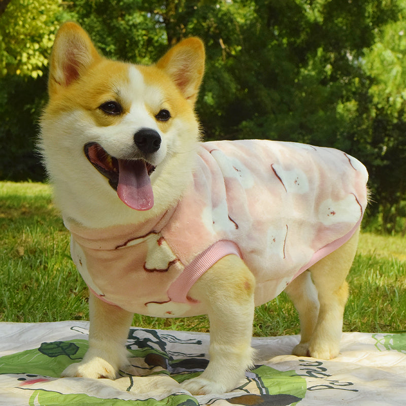 Vêtements de chien Automne et hiver Veste rembourrée anti-dorteuse de taille moyenne