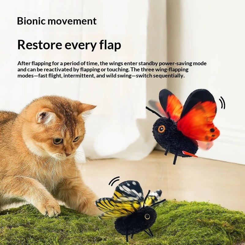 Simulation Butterfly automatique Cat Teaser consume la force physique