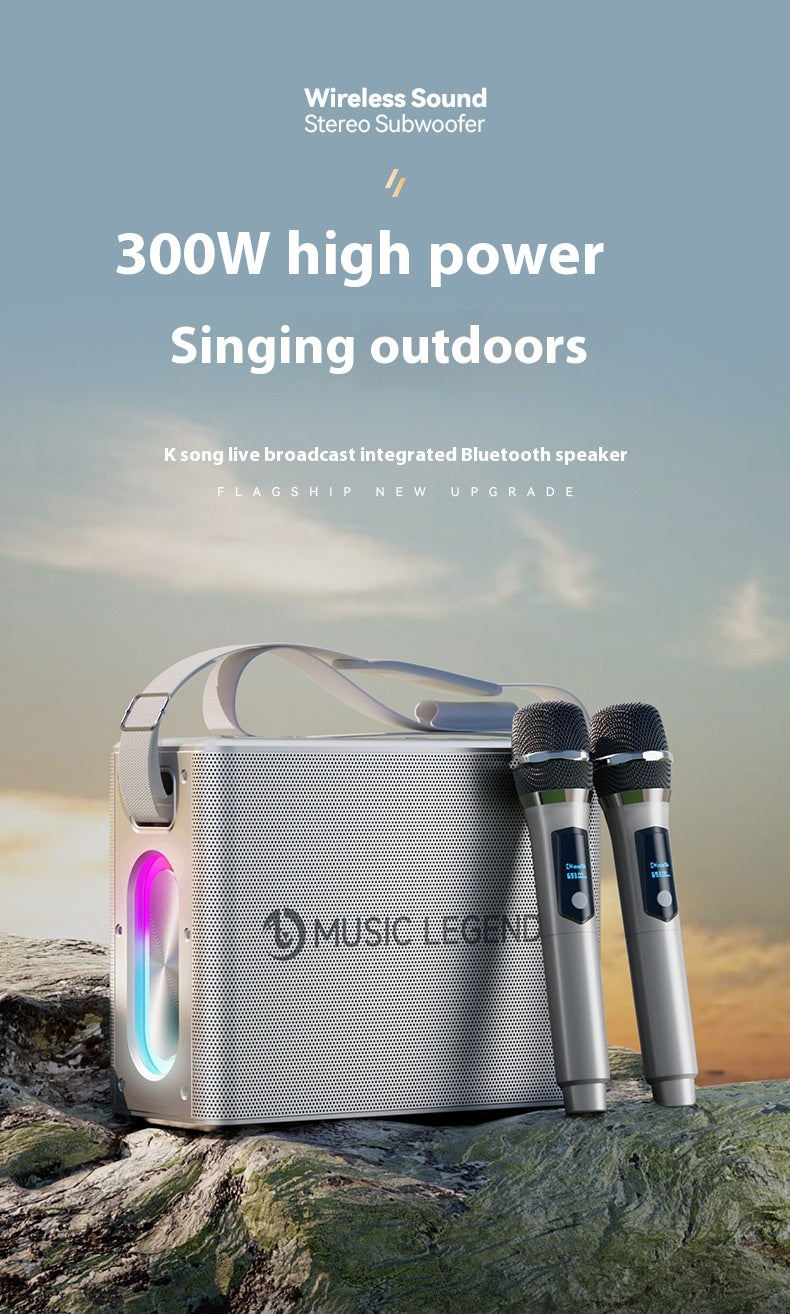 Karaoké en plein air haute puissance Bluetooth Audio Mobile Karaoké avec carte son microphone