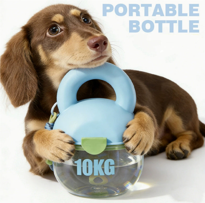 Bouteille d'eau extérieure pour le voyage