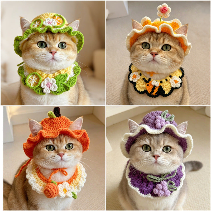 Chapeau de fleur de printemps et ensemble de bib de chat et de grenouille de chien