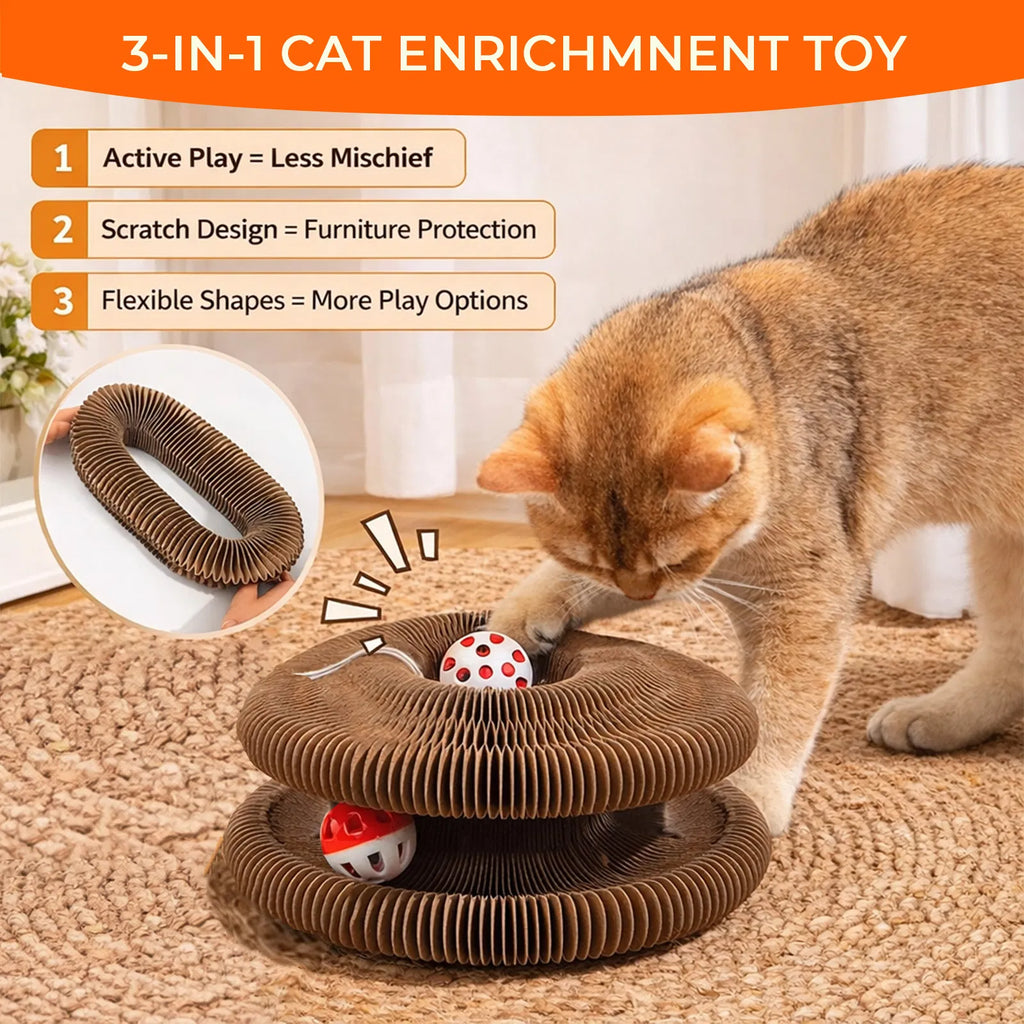 Jouet chat Kitty Curls - Foldable Accordéon Cat Scratcher withBall - Magic Organ Cat Scratch