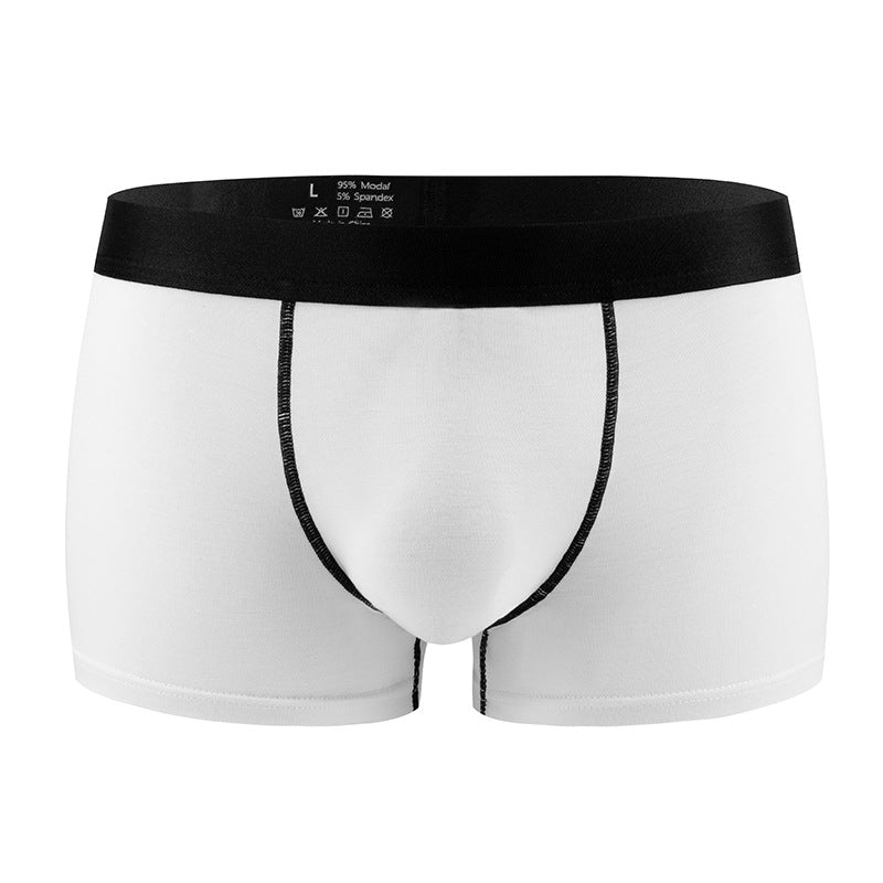 Standard Hommes Sous-vêtements sexy Modal Low-rise
