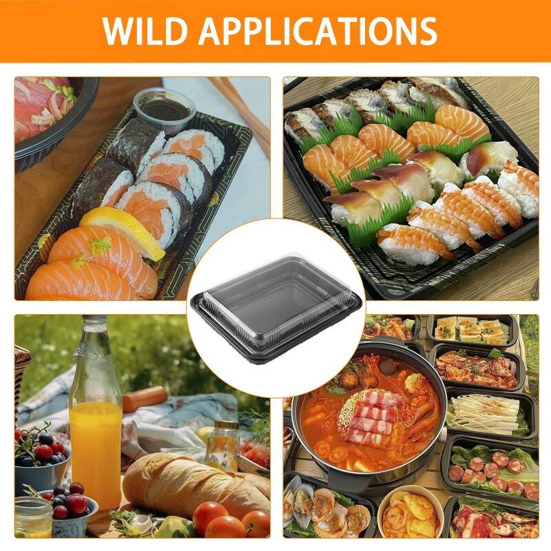 Boîte d'emballage Bacs Buffet avec Lids 10-Pack