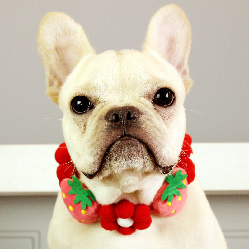 Écharpe Japonais Moyen Grand chien chien Corgi Collar