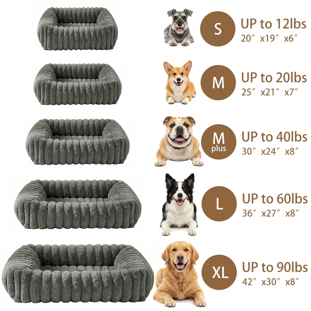 Lits pour chiens pour petits chiens moyens