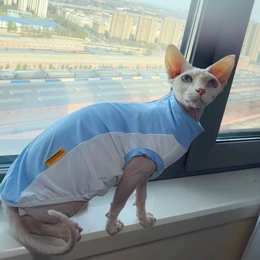 Sphynx Cat Summer Cooling Stretch Shirt Blue Mesh Vest Sun Protection