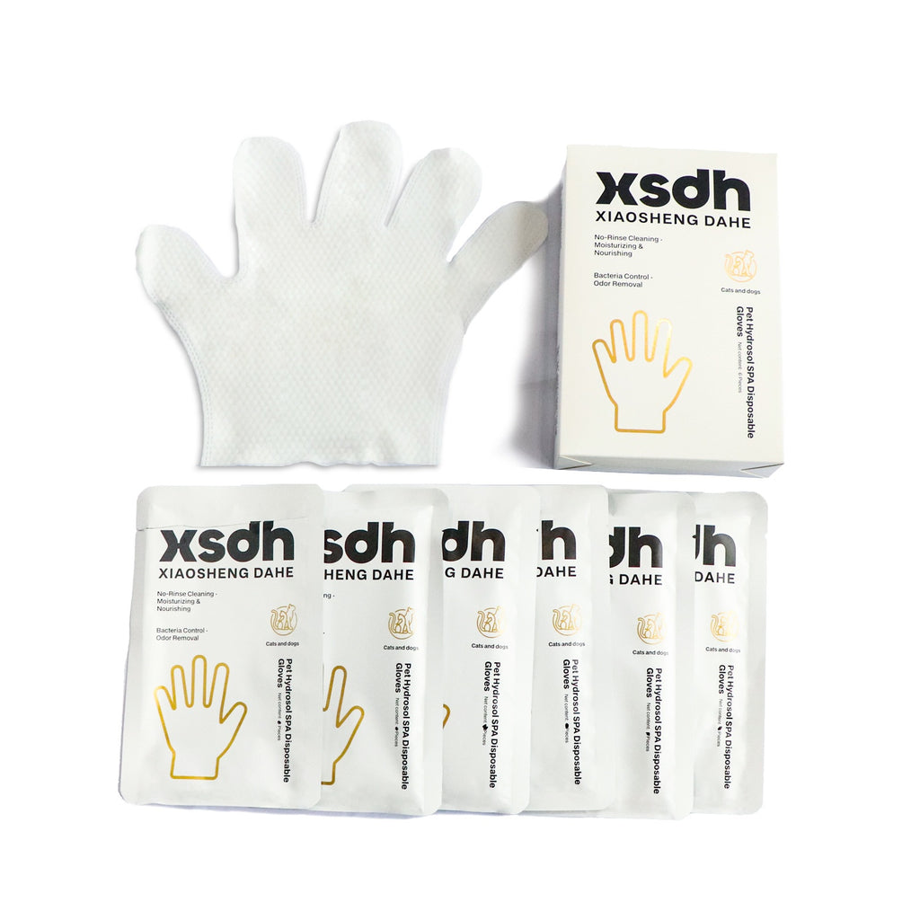 Nettoyage désodorisant Soins de nettoyage à sec et gants SPA
