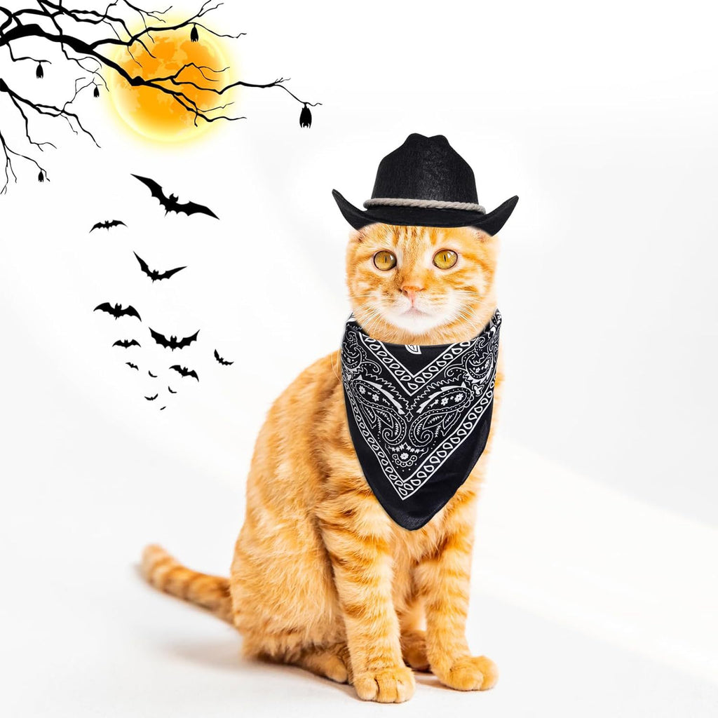 Black Pet and Bib Set Cotton Rope Denim Hat avec écharpe carrée Cat and Dog PartyFestival Ha