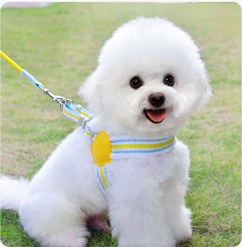 Leash de chien Été Respirant Corgi Shiba Inu Bichon Chest Vest Marcher Leash de chien Petit Et