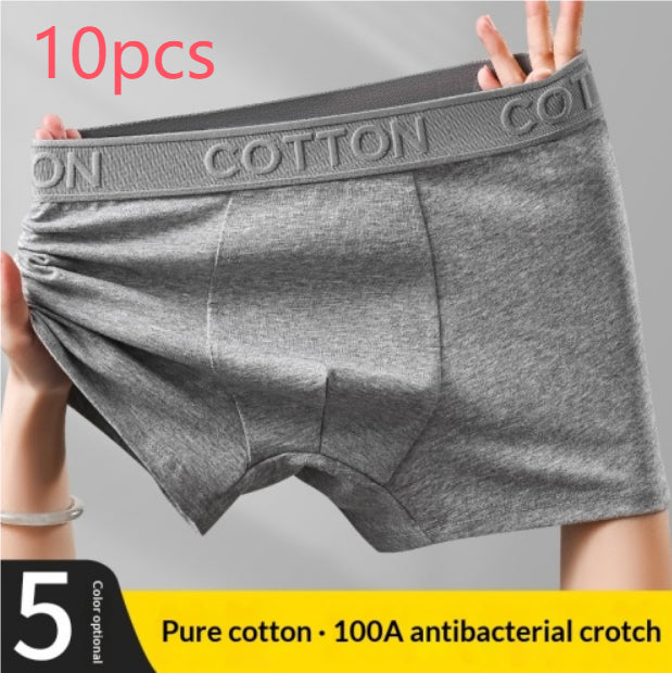 Boxer en coton antibactérien haut de gamme pour hommes