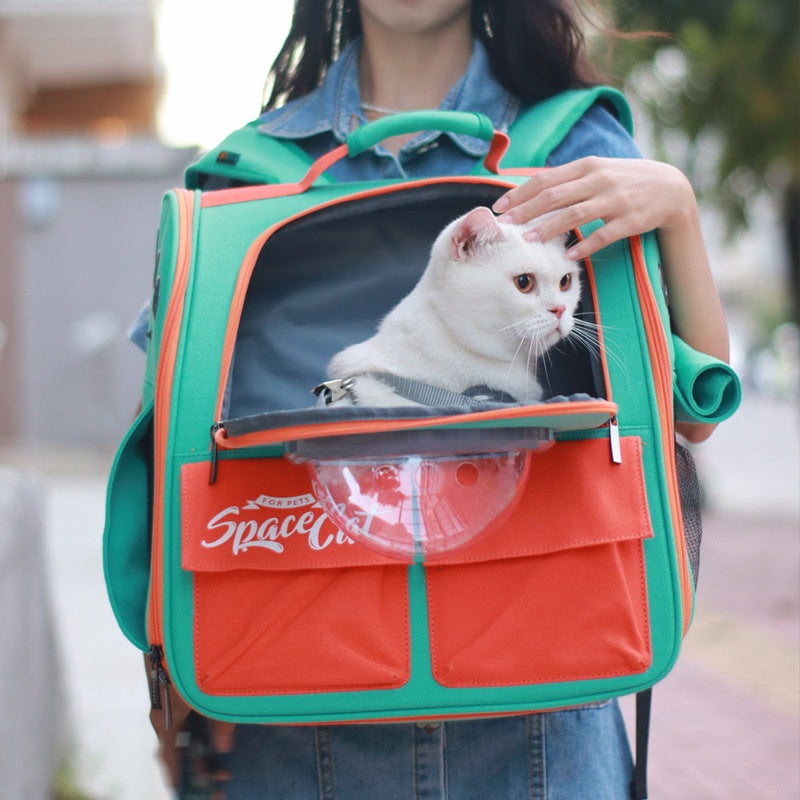 Grand sac à dos Portable Cat Carrier avec bandoulière et poignées pour les sorties