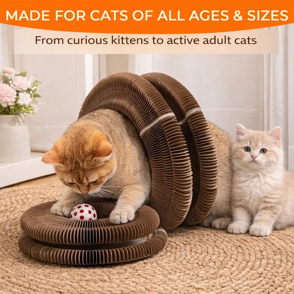 2PCS Kitty Curls Cat Toy - Accordéon pliable Cat Scratcher WithBall - Magic Organ Cat Scr